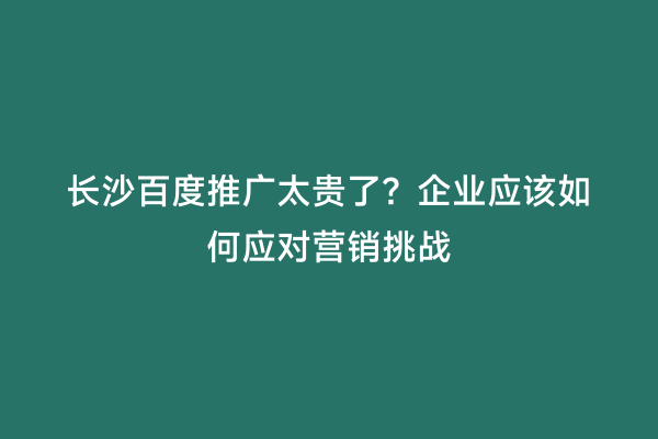 长沙百度推广太贵了？企业应该如何应对营销挑战