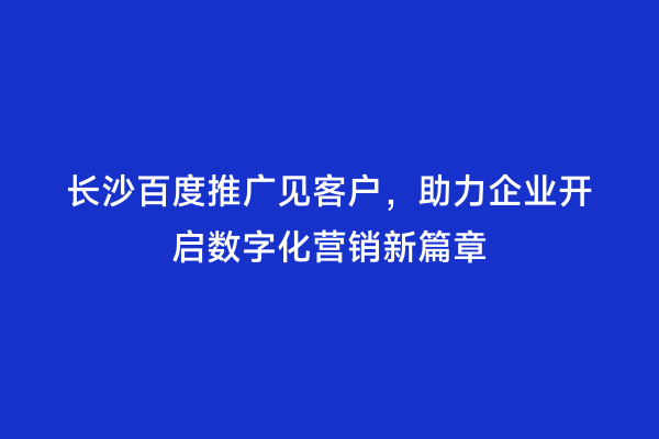 长沙百度推广见客户，助力企业开启数字化营销新篇章