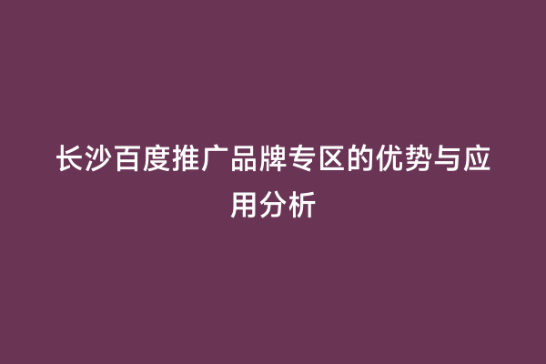 长沙百度推广品牌专区的优势与应用分析