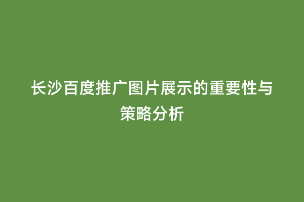 长沙百度推广图片展示的重要性与策略分析