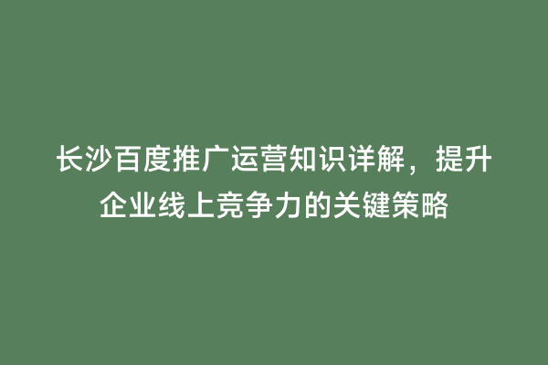 长沙百度推广运营知识详解，提升企业线上竞争力的关键策略