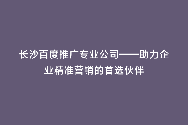 长沙百度推广专业公司——助力企业精准营销的首选伙伴