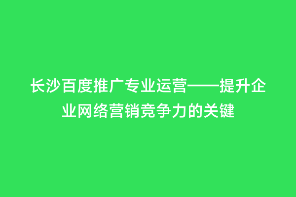 长沙百度推广专业运营——提升企业网络营销竞争力的关键