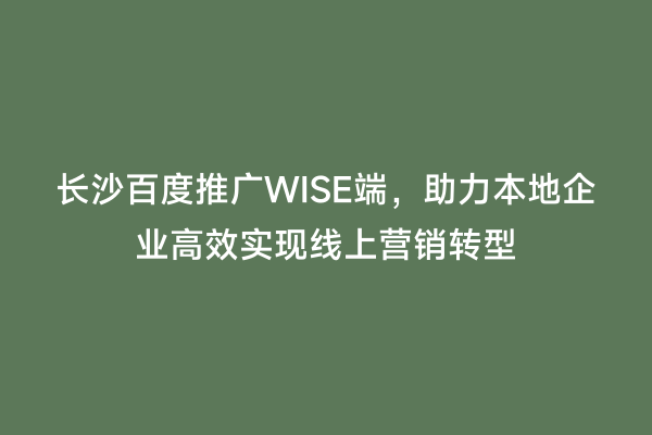 长沙百度推广WISE端，助力本地企业高效实现线上营销转型