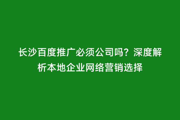 长沙百度推广必须公司吗？深度解析本地企业网络营销选择
