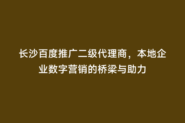 长沙百度推广二级代理商，本地企业数字营销的桥梁与助力