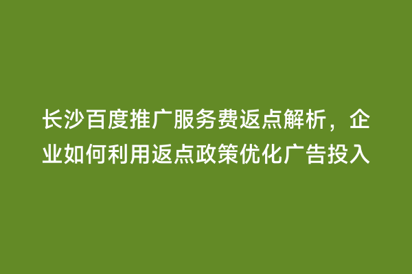 长沙百度推广服务费返点解析，企业如何利用返点政策优化广告投入