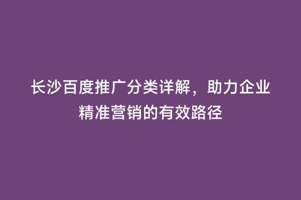 长沙百度推广分类详解，助力企业精准营销的有效路径