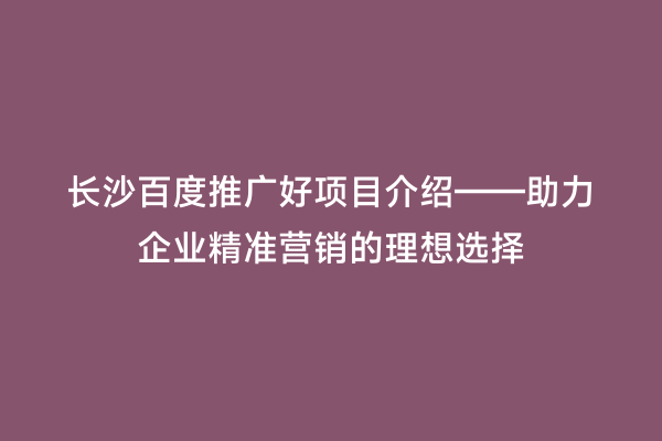 长沙百度推广好项目介绍——助力企业精准营销的理想选择