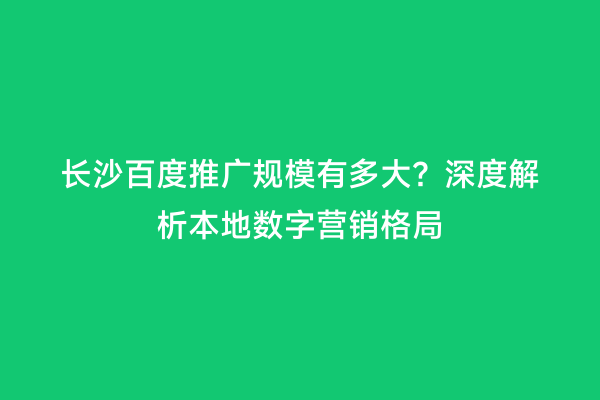 长沙百度推广规模有多大？深度解析本地数字营销格局